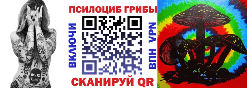 купить закладку  mega сайт  Галлюциногенные грибы Psilocybe  Рудня 